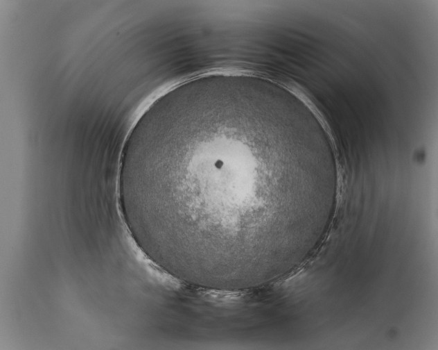 X0000112010861200908171441