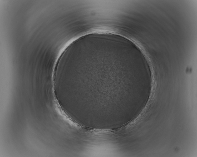 X0000112010864200908171441