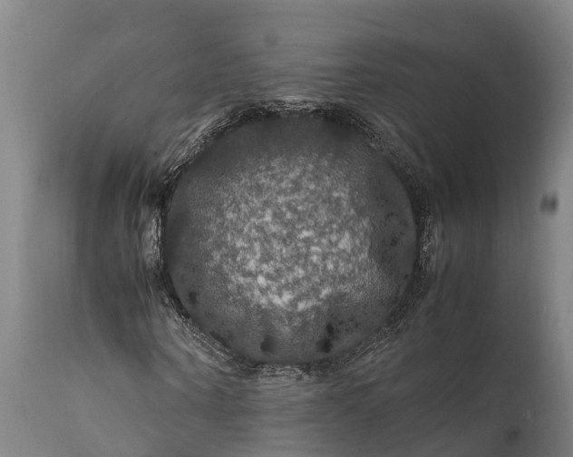 X0000112010866200908171440