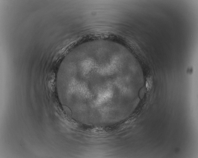 X0000112010867200908171440