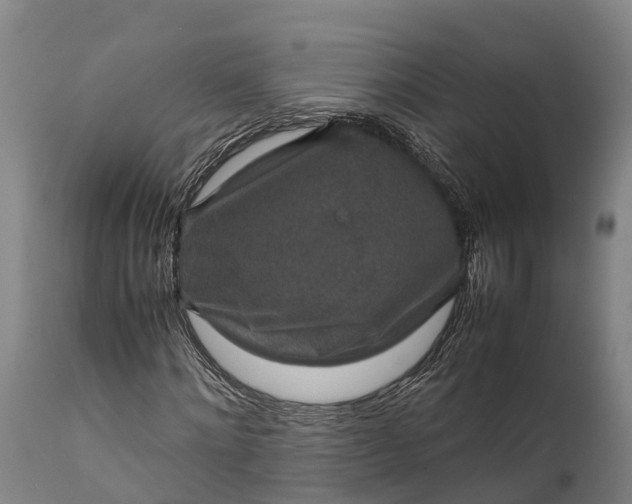 X0000112010868200908171440