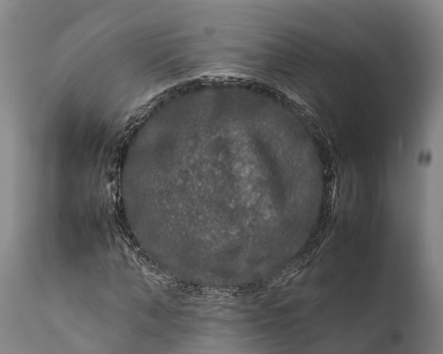 X0000112010870200908171440