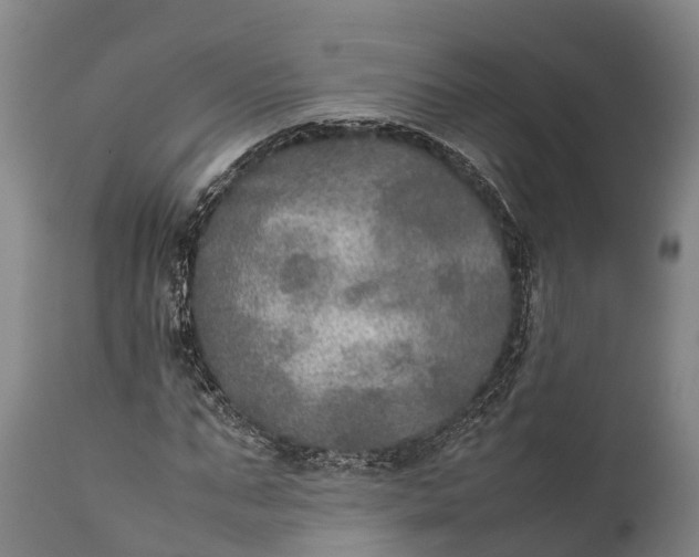 X0000112010871200908171440