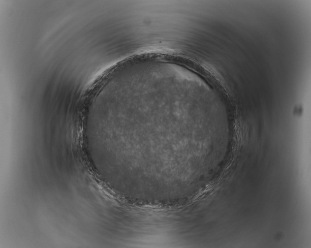 X0000112010872200908171440