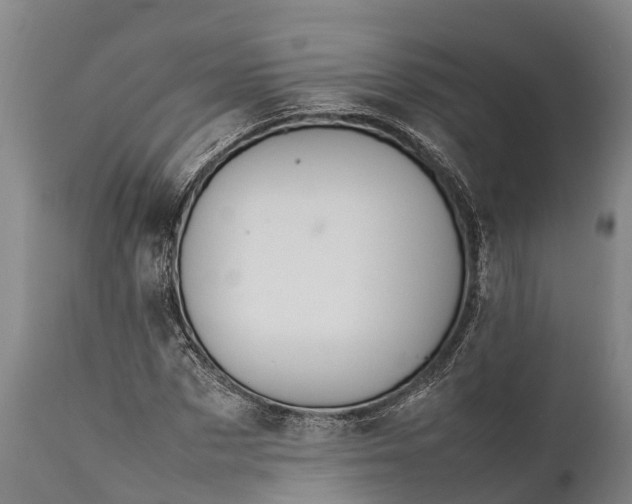 X0000112010873200908171440