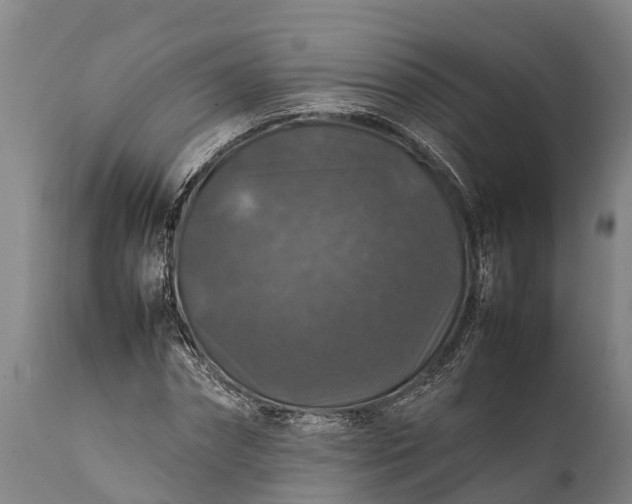 X0000112010874200908171440