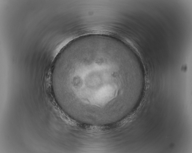 X0000112010875200908171440