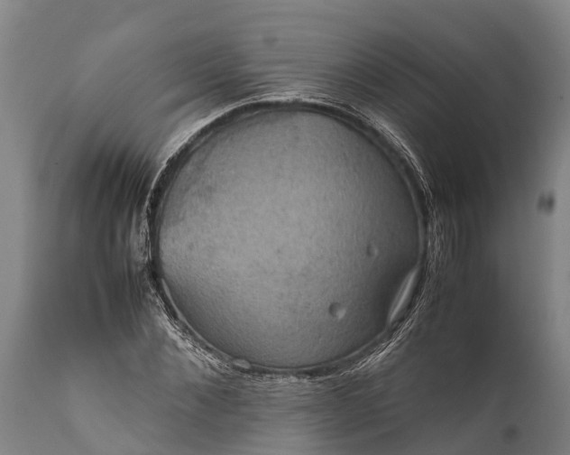 X0000112010876200908171440