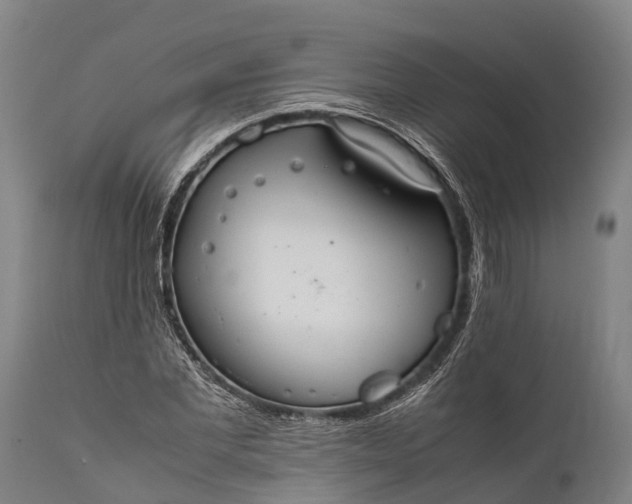 X0000112010877200908171440