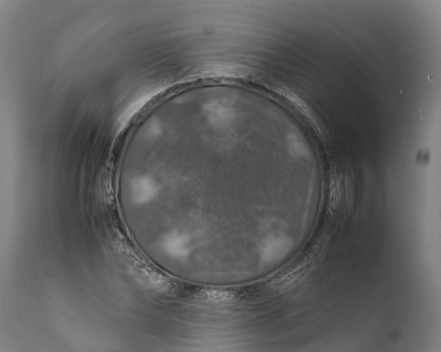 X0000112010878200908171440