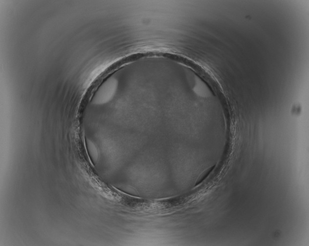 X0000112010879200908171440