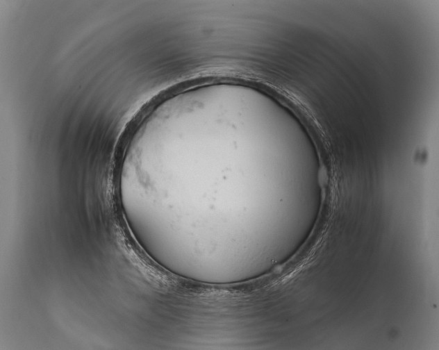 X0000112010880200908171440