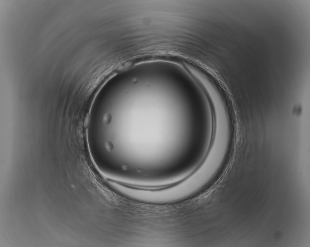 X0000112010881200908171440