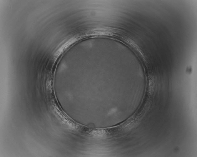 X0000112010882200908171440