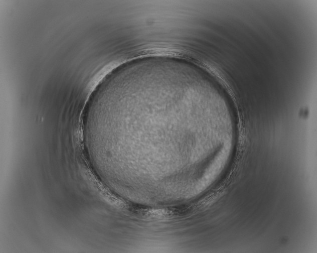 X0000112010883200908171440