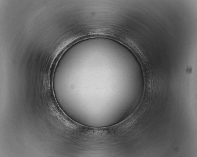 X0000112010884200908171440