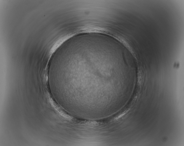 X0000112010885200908171440