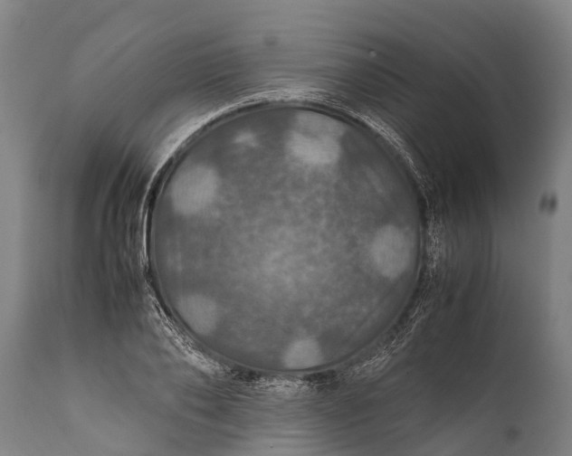 X0000112010886200908171440