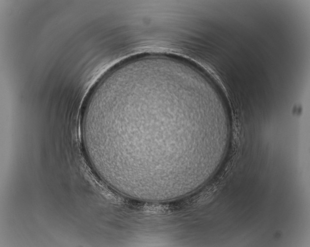 X0000112010887200908171440