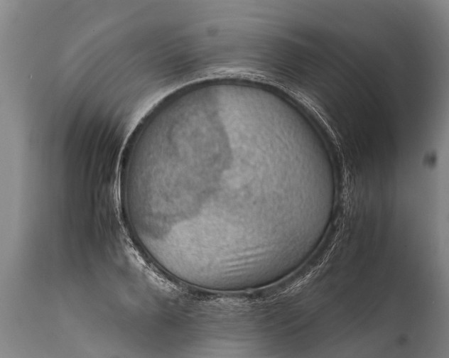 X0000112010888200908171440