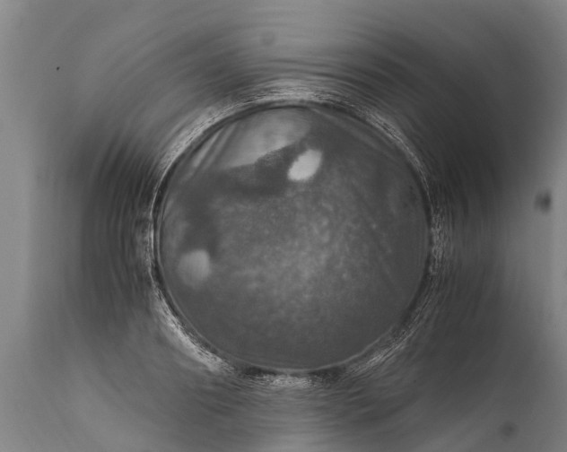 X0000112010890200908171440