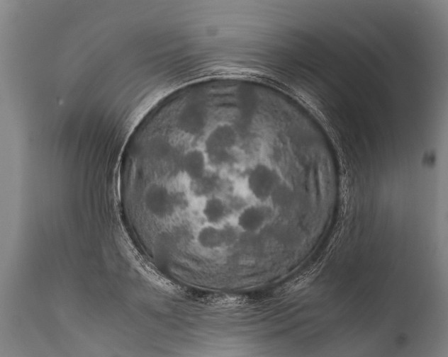 X0000112010891200908171440