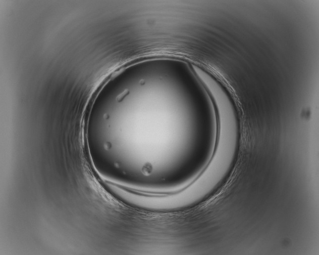 X0000112010892200908171440