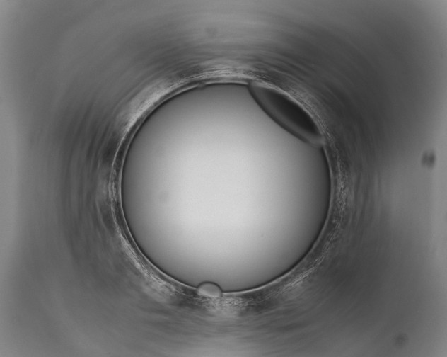 X0000112010893200908171440