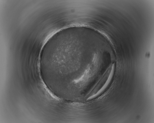 X0000112010894200908171440