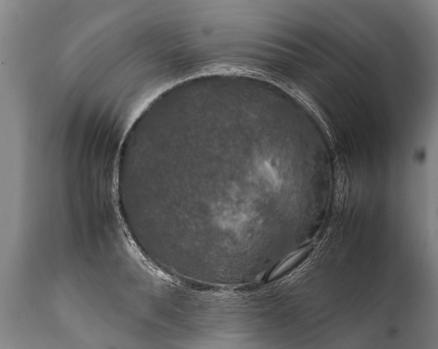 X0000112010896200908171440