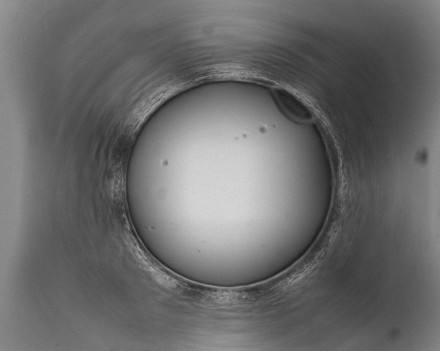 X0000112010897200908171440