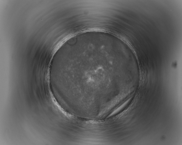 X0000112010898200908171440