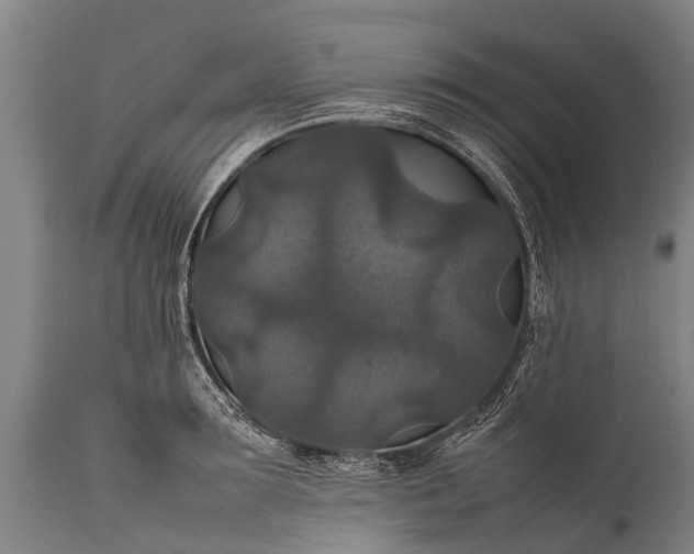 X0000112010899200908171440