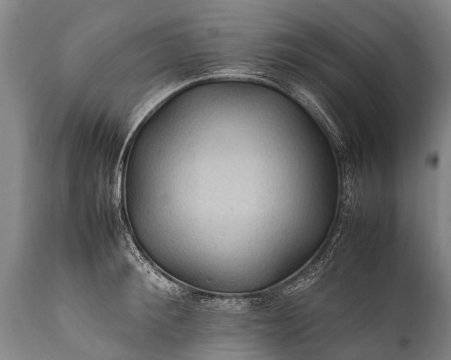 X0000112010900200908171440