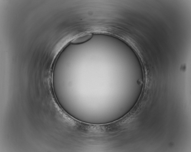 X0000112010901200908171440