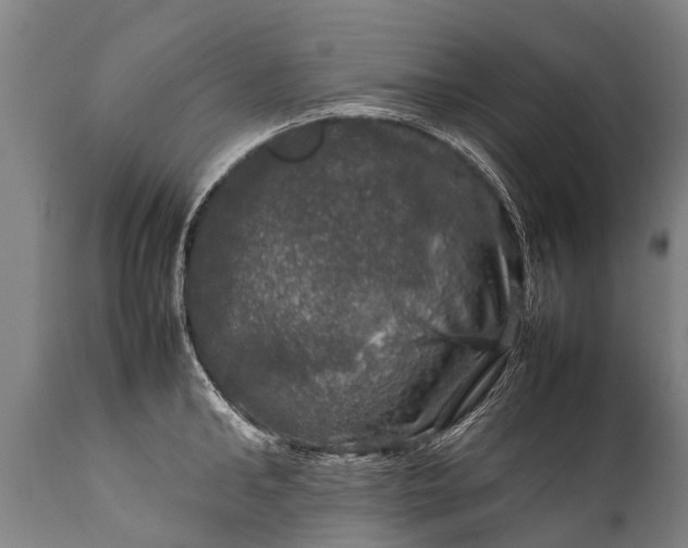 X0000112010902200908171440