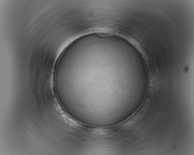 X0000112010904200908171440