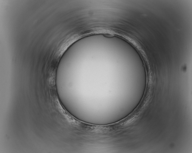 X0000112010905200908171440