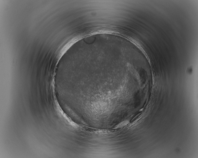 X0000112010906200908171440