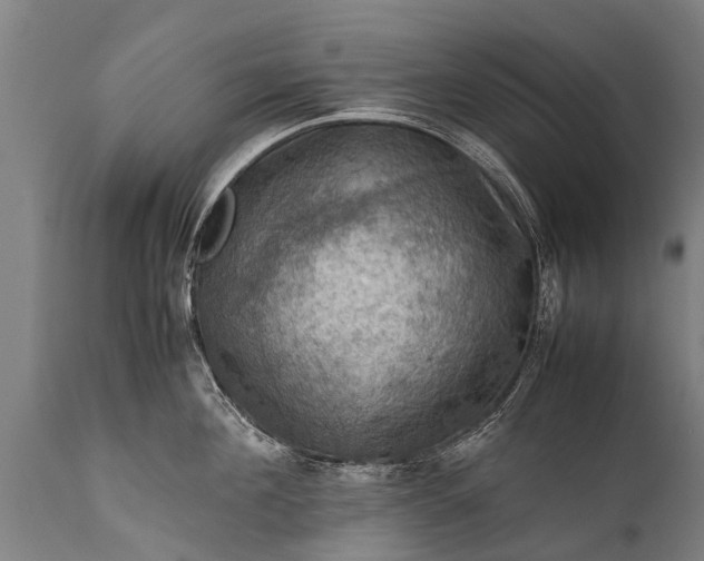 X0000112010908200908171440