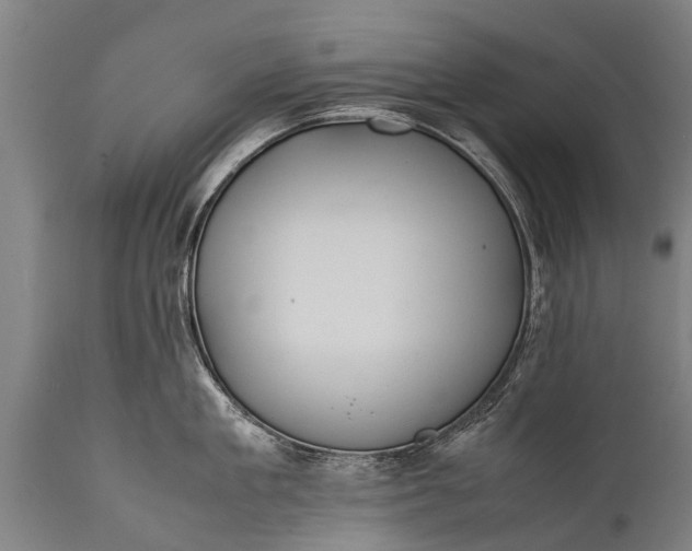 X0000112010909200908171440