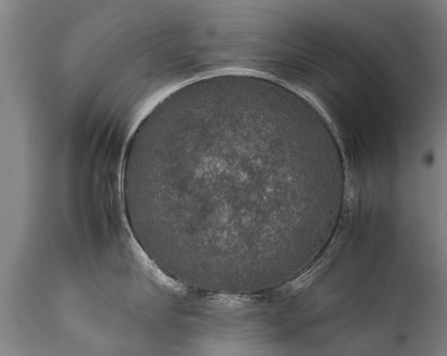 X0000112010910200908171440