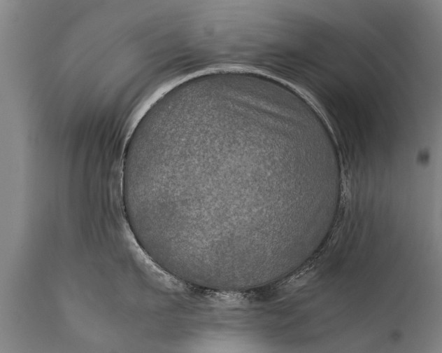 X0000112010911200908171440