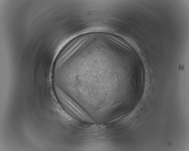 X0000112010912200908171440