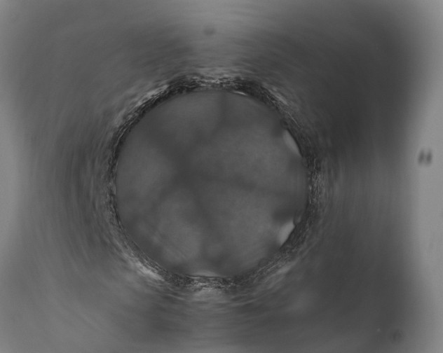 X0000112010913200908171439