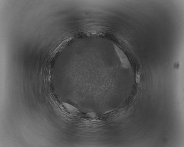 X0000112010915200908171439