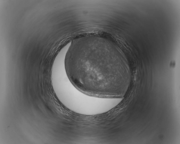 X0000112010916200908171439