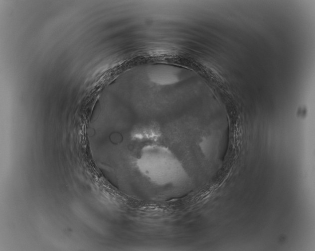 X0000112010917200908171439