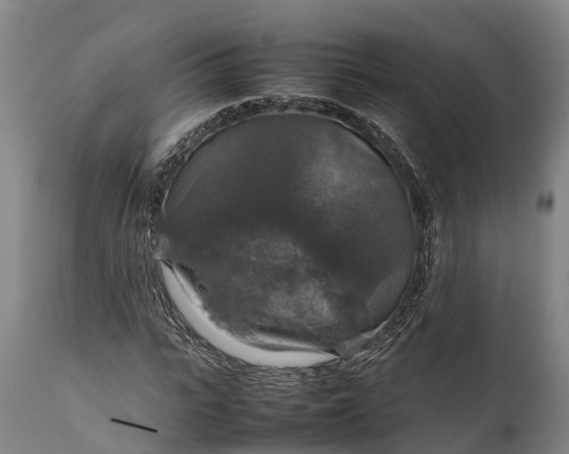 X0000112010919200908171439