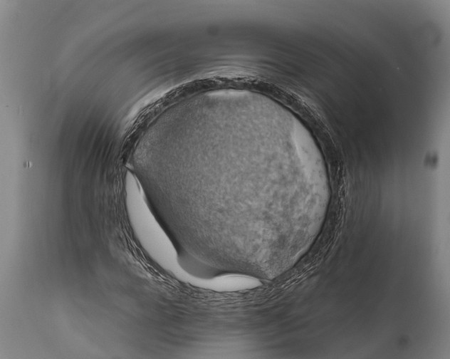 X0000112010920200908171439